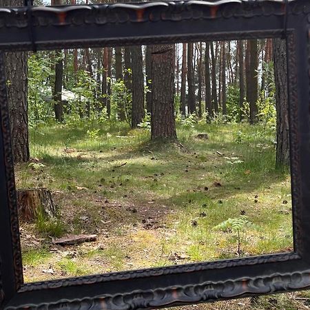 Gora Spokoju Osada Klimatyczna-Lesna Inowlodz Екстериор снимка
