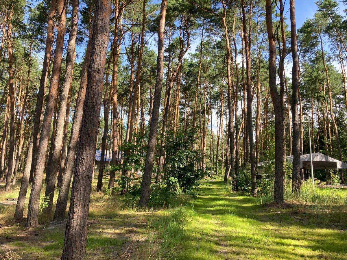 Gora Spokoju Osada Klimatyczna-Lesna Inowlodz Екстериор снимка