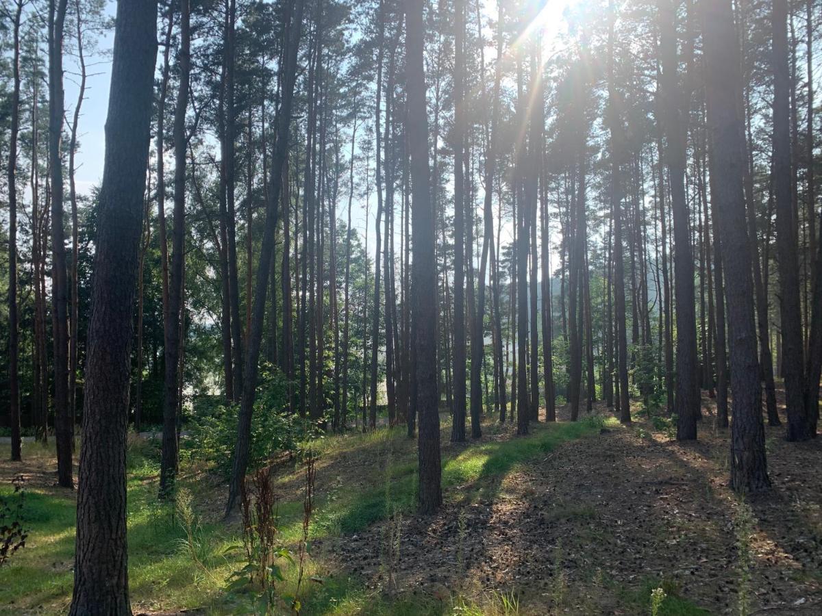 Gora Spokoju Osada Klimatyczna-Lesna Inowlodz Екстериор снимка