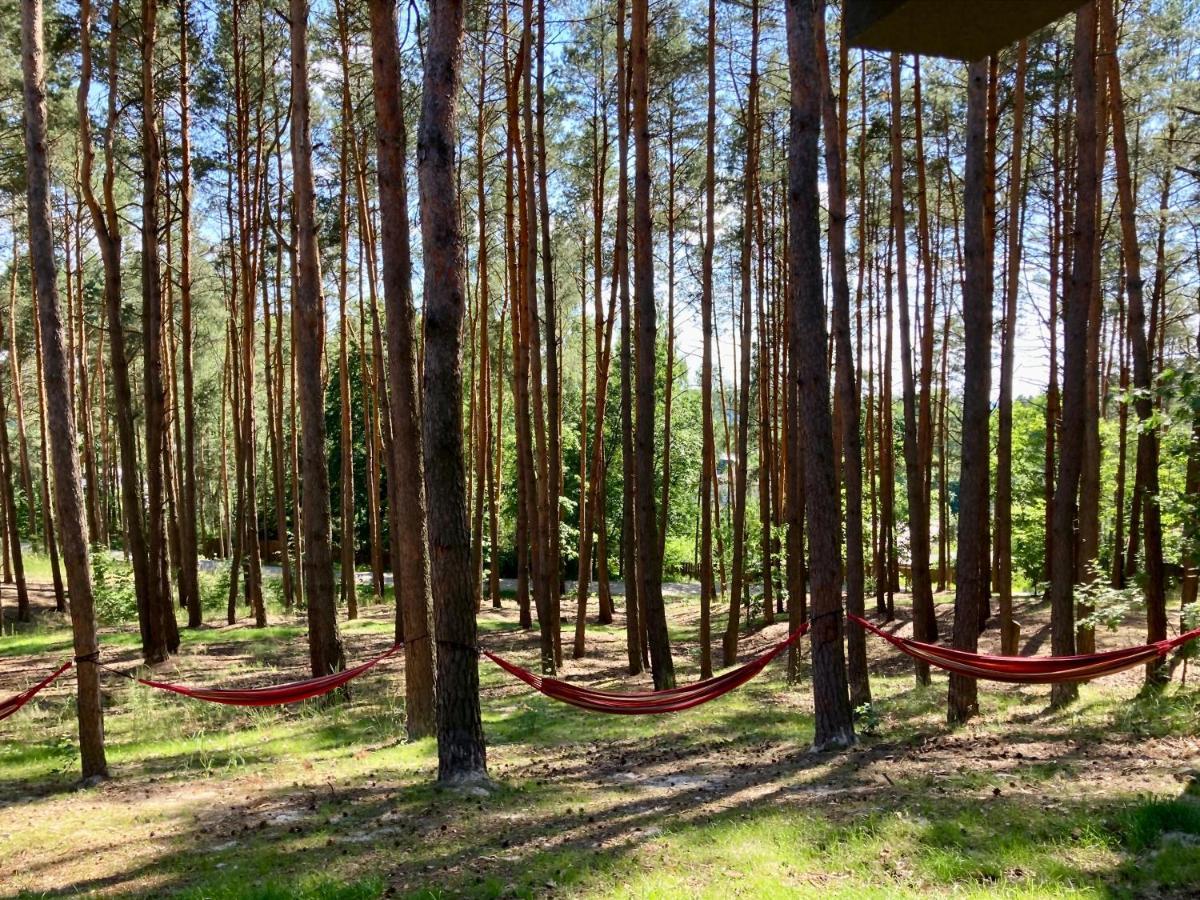 Gora Spokoju Osada Klimatyczna-Lesna Inowlodz Екстериор снимка